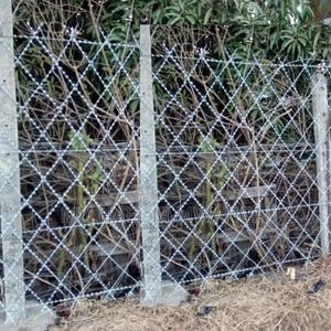 Long Service Welded Razor Wire - main view