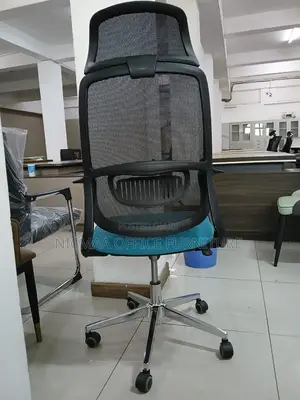 Ergonomic Mesh With Blue Cushion Seat