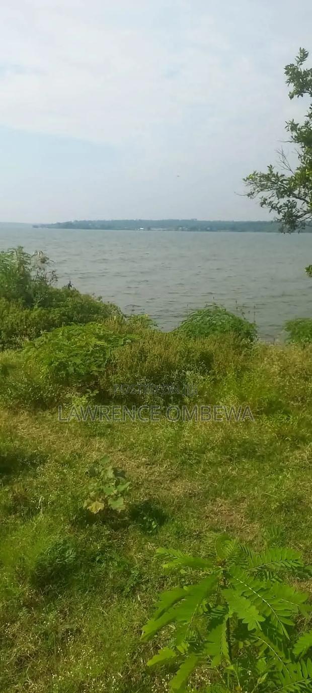 Beach Plot - main view