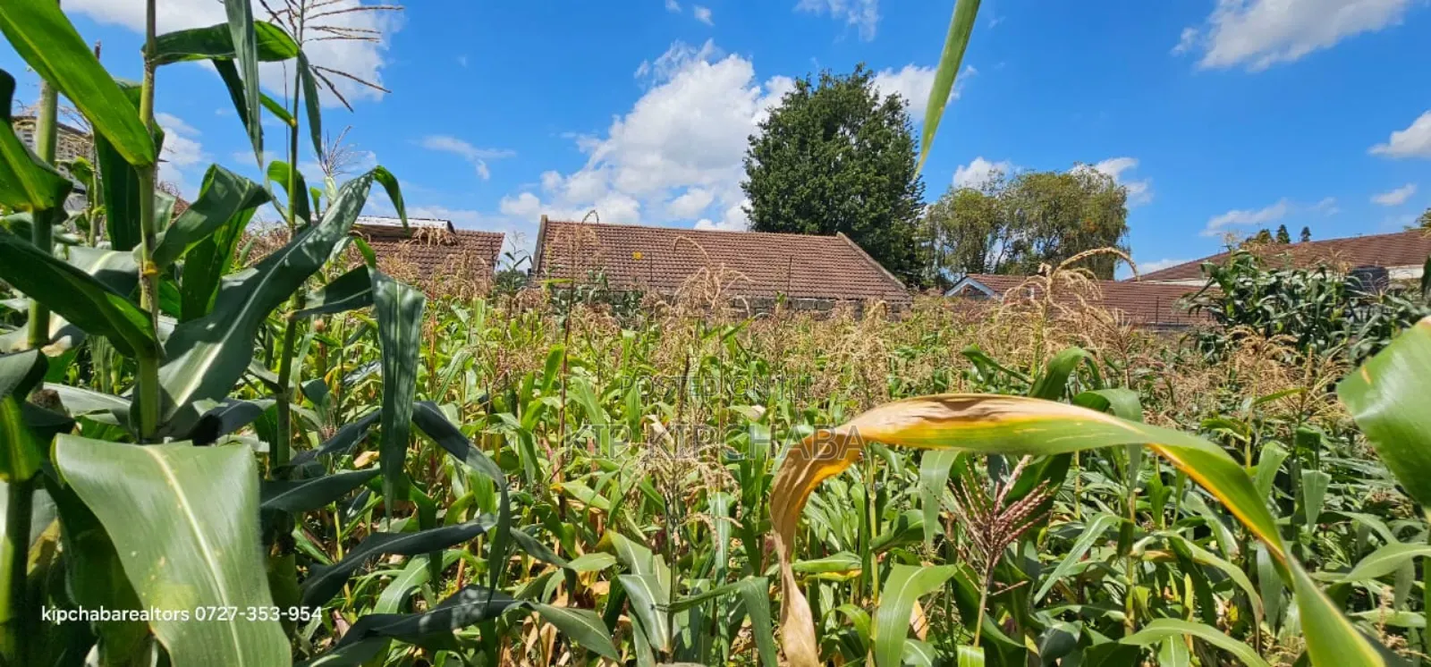 1⁄2 Acre for Sale Elgonview Near Boma Inn and Temple Eldoret