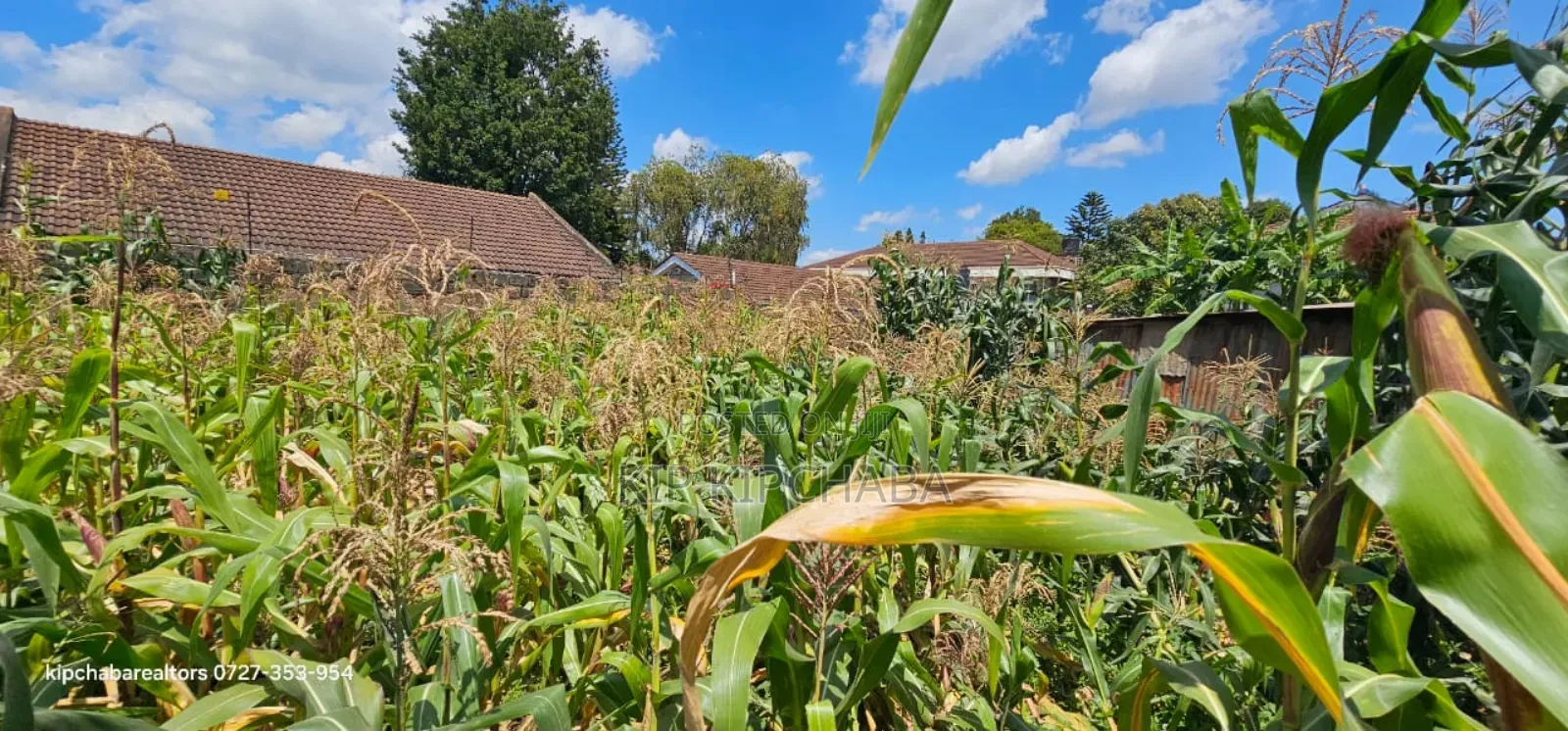 1⁄2 Acre for Sale Elgonview Near Boma Inn and Temple Eldoret