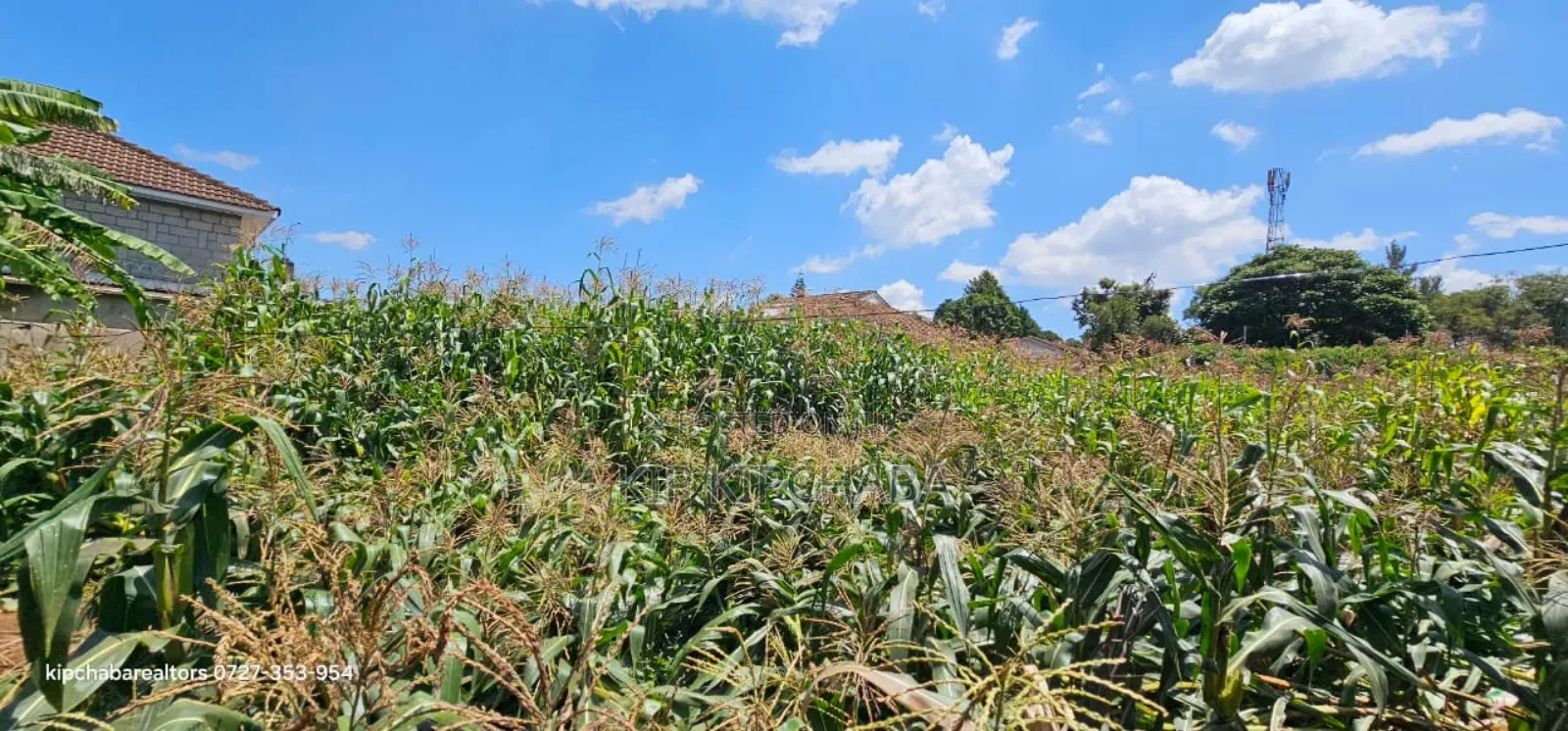 1⁄2 Acre for Sale Elgonview Near Boma Inn and Temple Eldoret