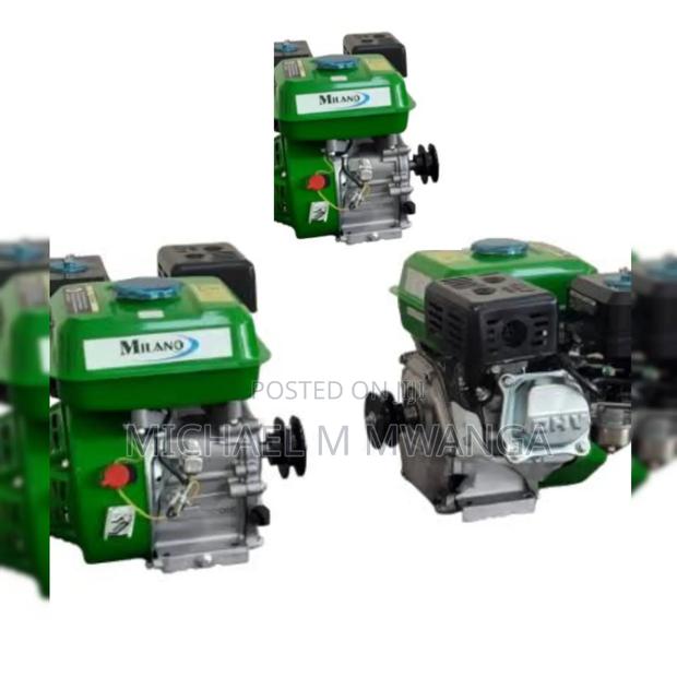 Productive Agricultural Engine 7.5hp - main view