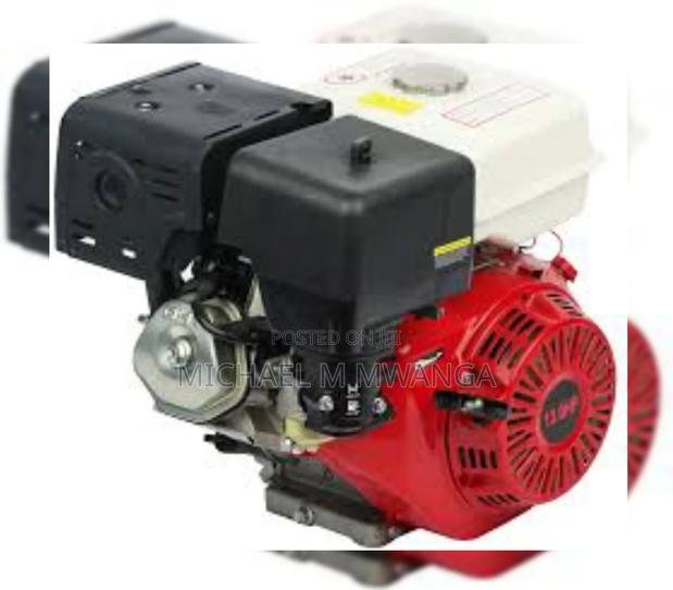 Tough Environment Agricultural Engine 4 Stroke - main view