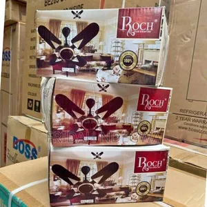 Roch 24inches Ceiling Fan