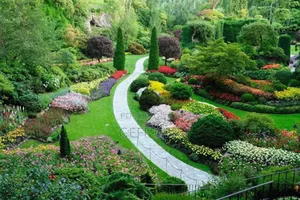 Home Landscaping Services