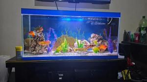 Bottom Tv Aquarium 3ft - thumbnail 2