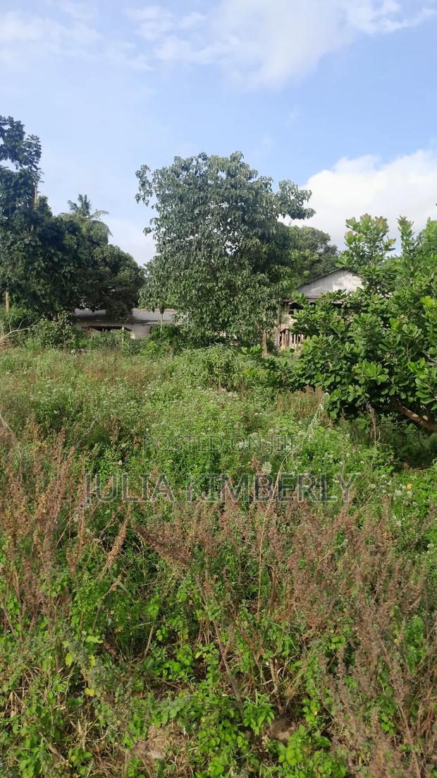 Kikambala 50 by 100 - thumbnail 11