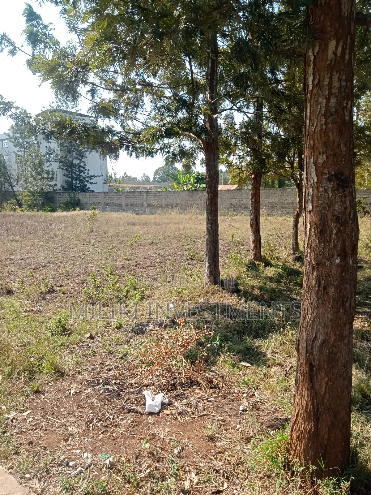  Kenol Quarter Plot on Tarmac – Perfect for Commercial Use!