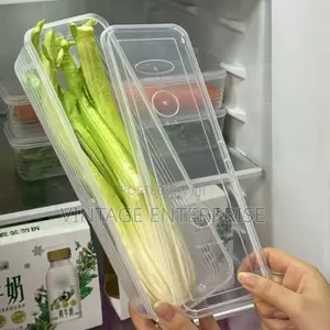 Refrigerator Herb Storage Box