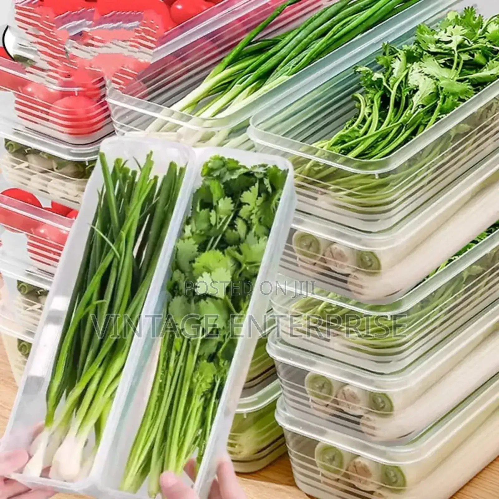 Refrigerator Herb Storage Box