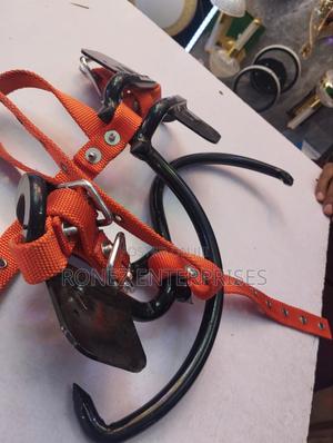 Safety Pole Climbers - main view