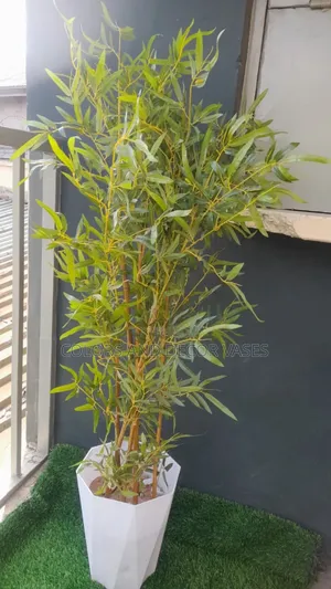 Brown Stick Bamboo Sticks