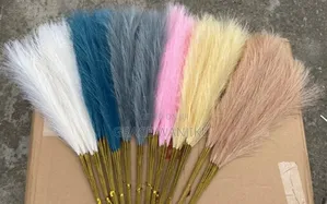 Pampas Grass Stem