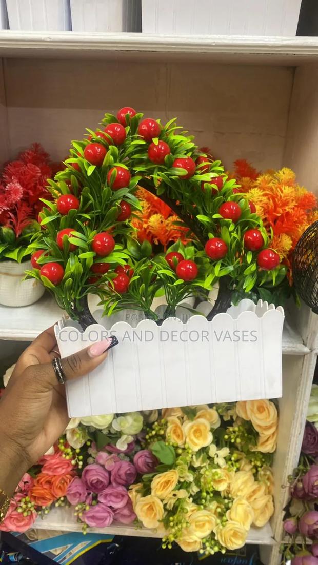 Rectangular Bonsai Available - main view