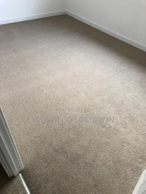 Premium Carpets That Bring Out the Best in Your Home