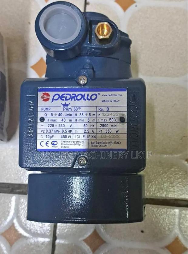 Original 0.5hp Pedrollo Booster Pump - main view