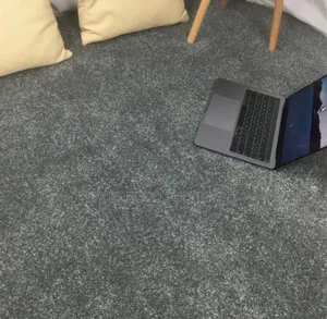 Multi-Tonal Fade-Resistant Carpet