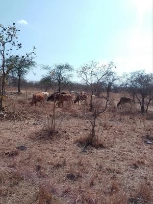 For Sale 9 Acres Located 7km Off-Machakos Kitui Rd-Mwala Maaueli