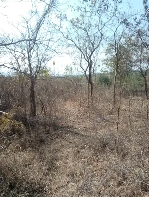For Sale 9 Acres Located 7km Off-Machakos Kitui Rd-Mwala Maaueli