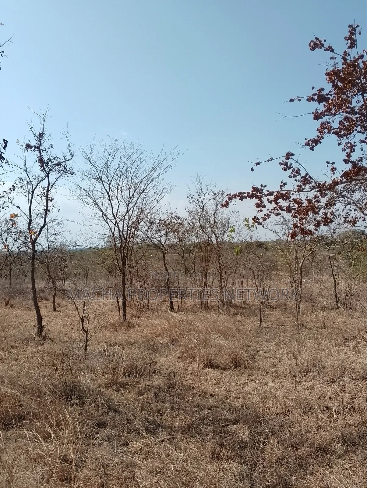 For Sale 9 Acres Located 7km Off-Machakos Kitui Rd-Mwala Maaueli