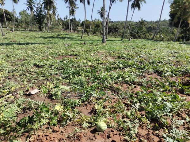 14.5 Acre Established Organic Farm - thumbnail 5