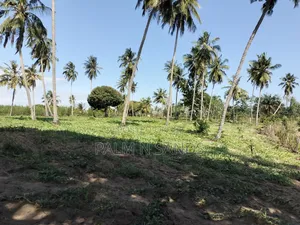 14.5 Acre Established Organic Farm