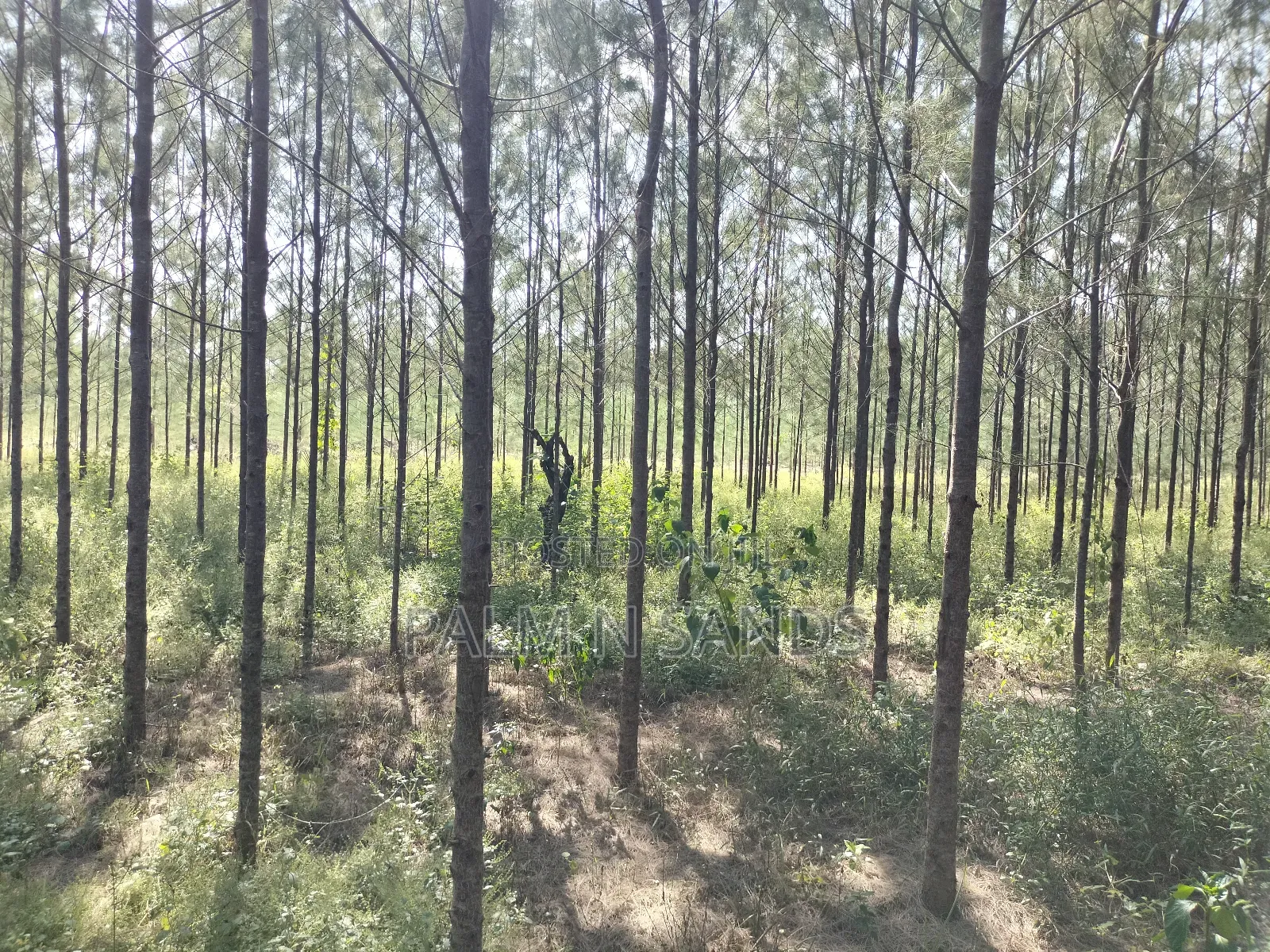 14.5 Acre Established Organic Farm