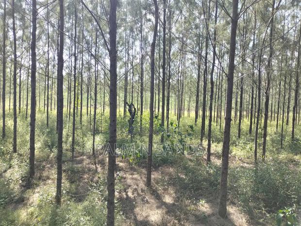 14.5 Acre Established Organic Farm - thumbnail 7