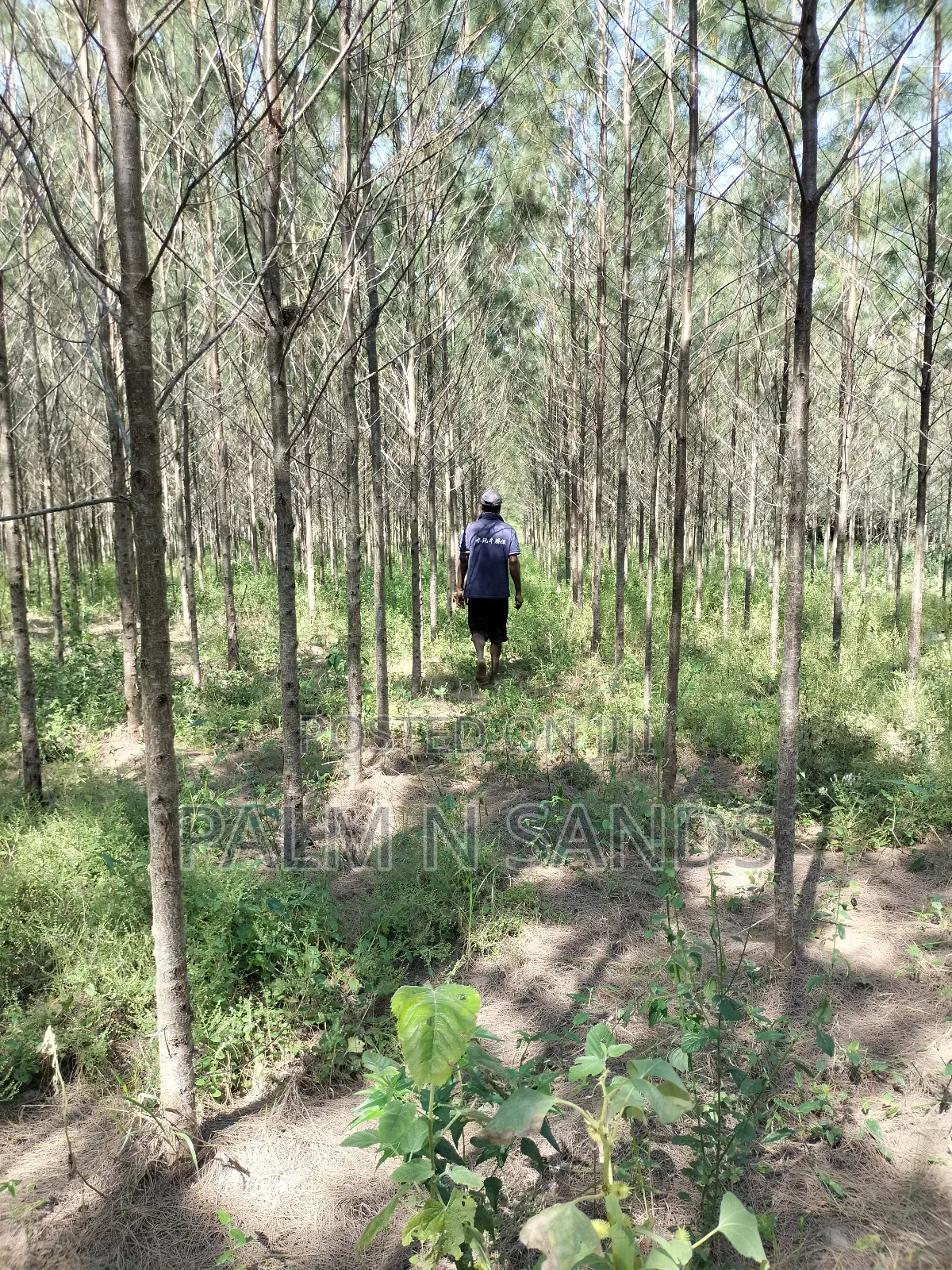 14.5 Acre Established Organic Farm
