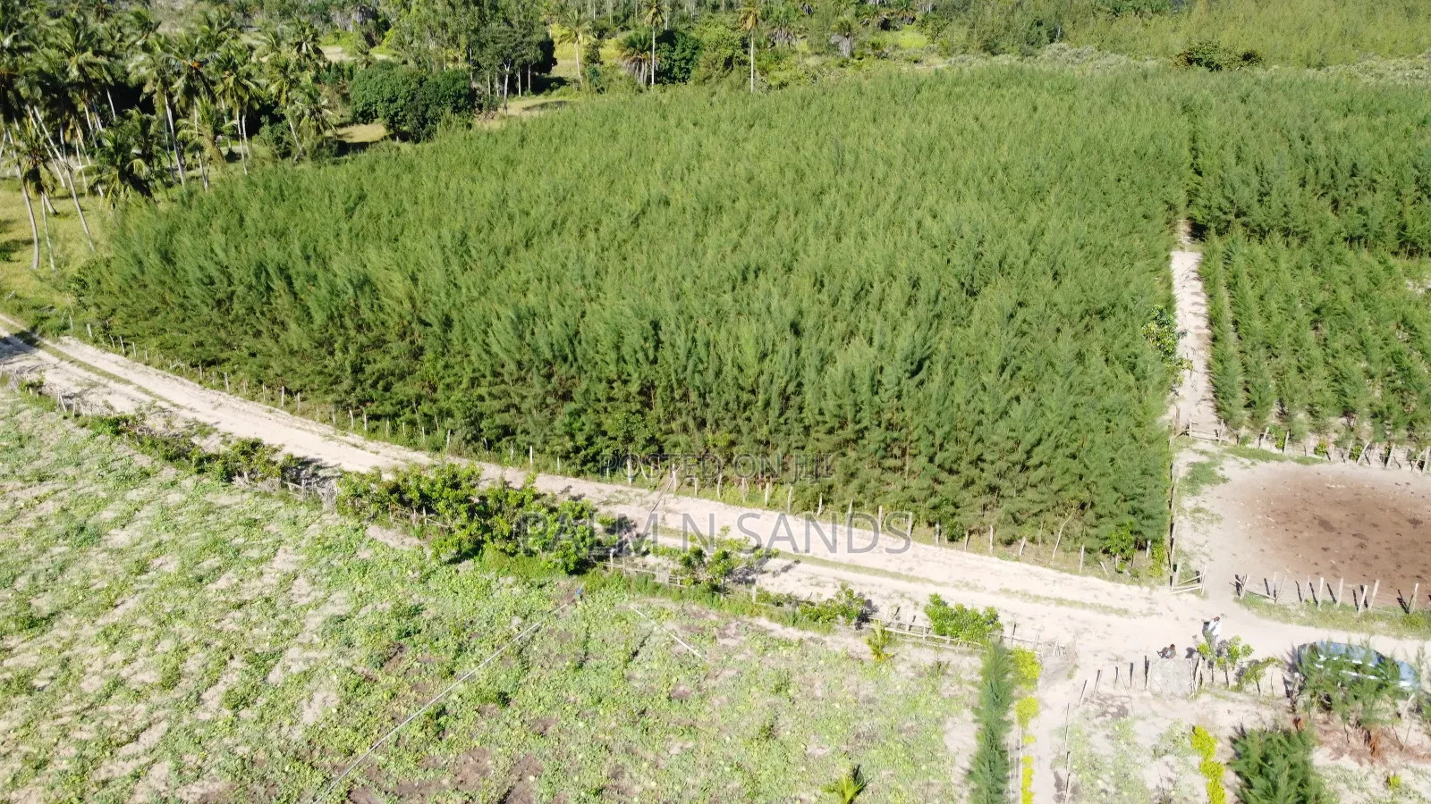 14.5 Acre Established Organic Farm