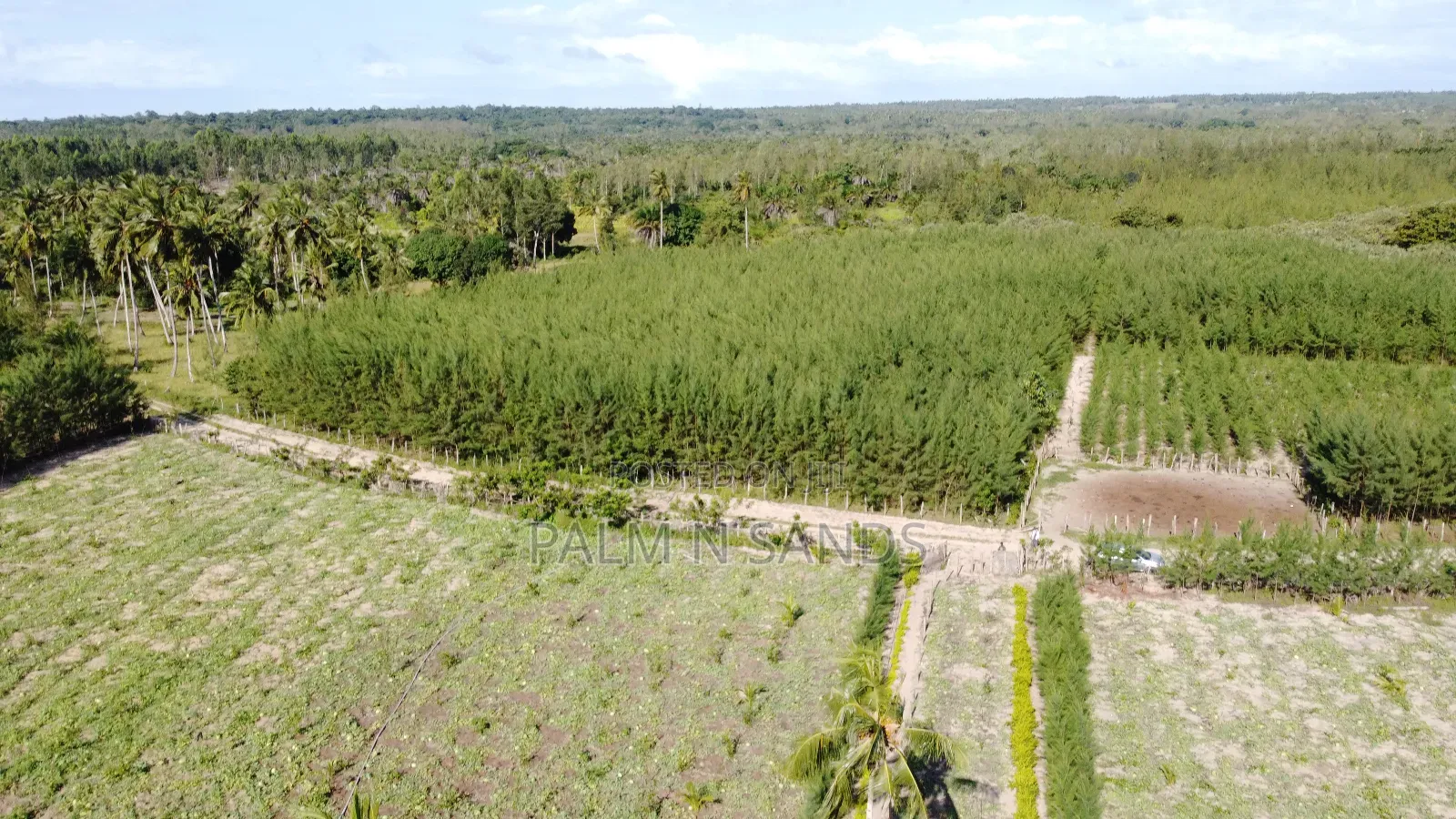 14.5 Acre Established Organic Farm