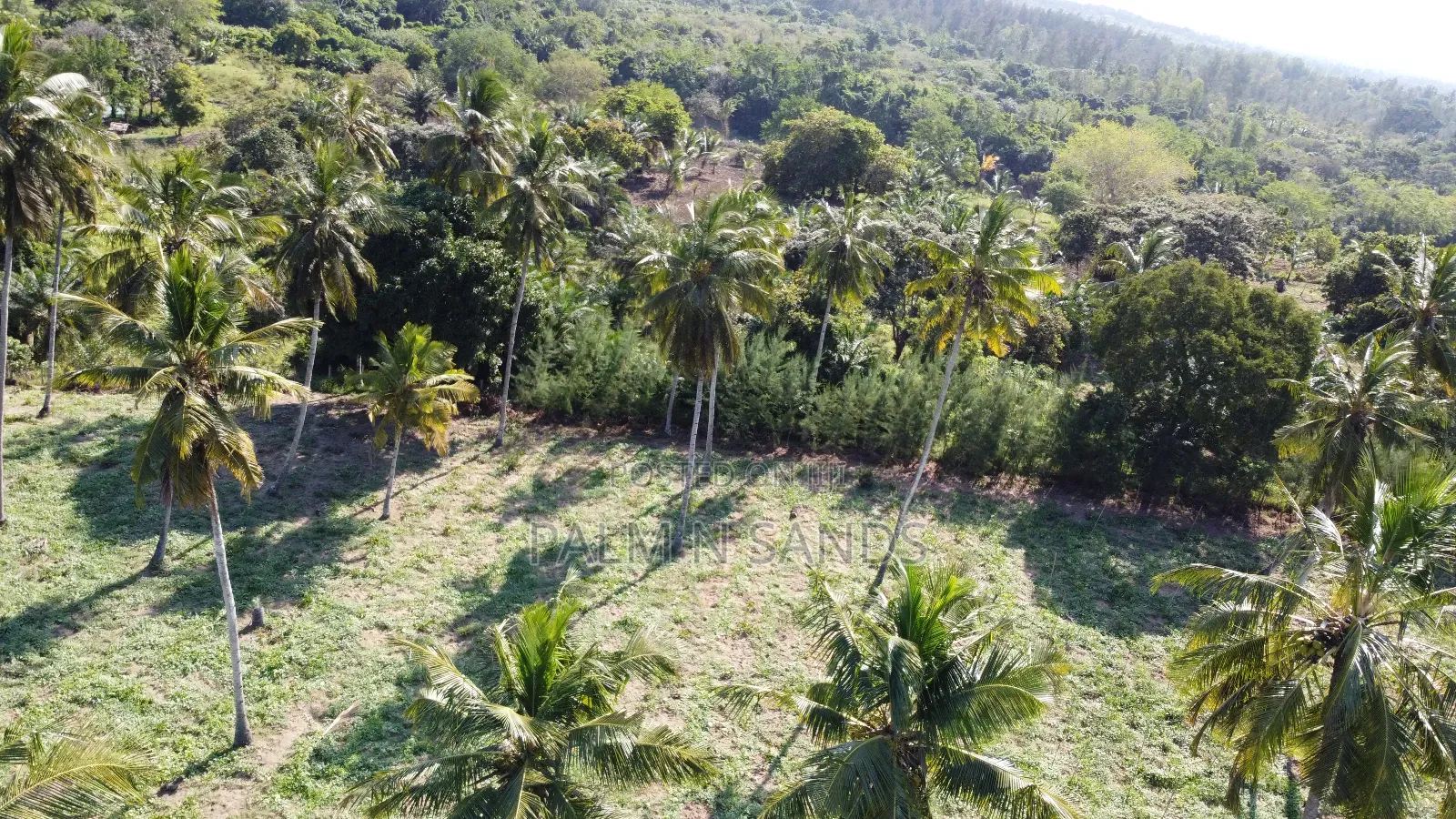 14.5 Acre Established Organic Farm