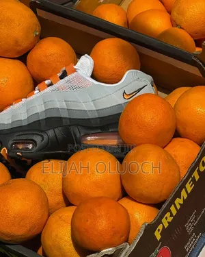 Orange Airmax 95 Original Shoes