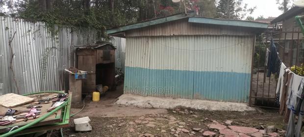 1 Acre Property for Sale - thumbnail 10