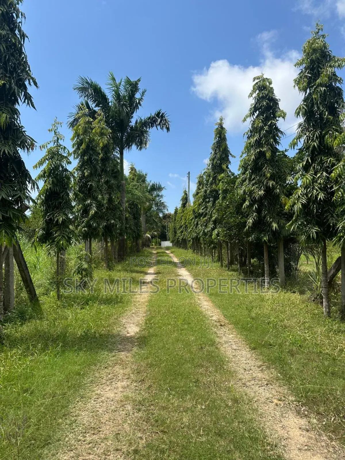 3bdrm Bungalow in Animo Mtwapa for sale