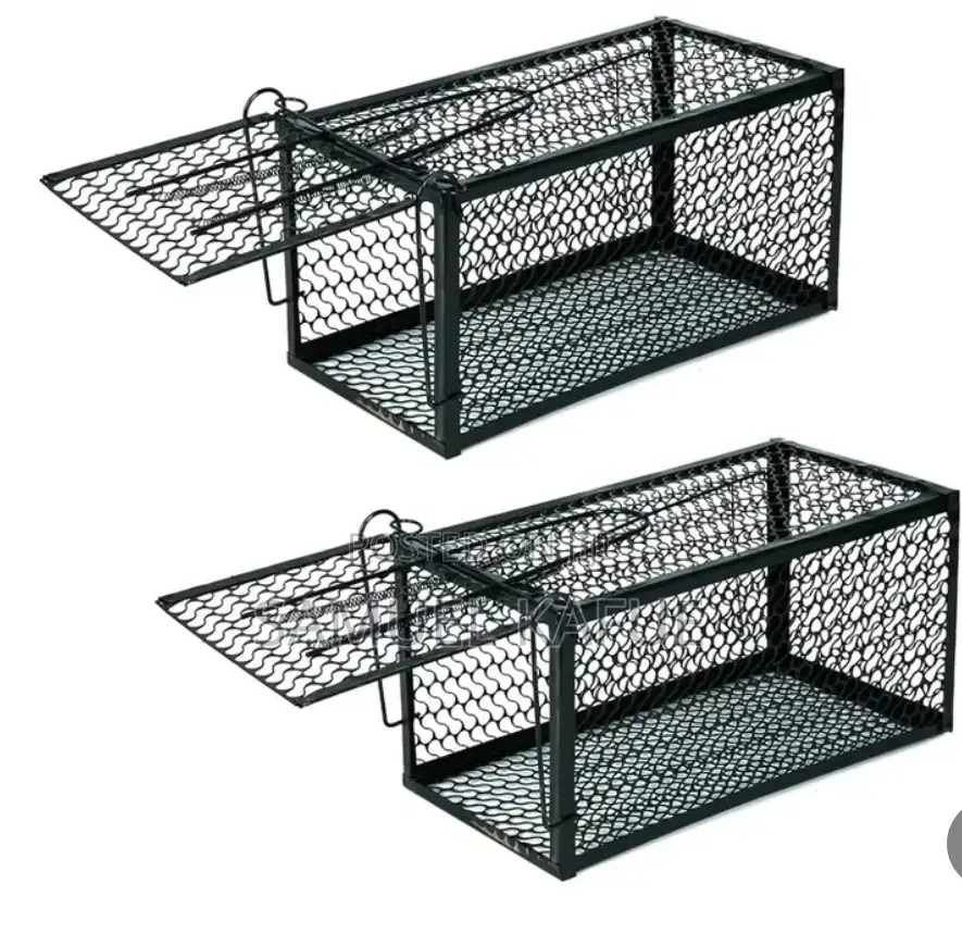 Best Single Catch Rat Traps/Rat Cage