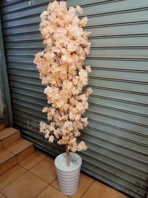 Cherry Blossoms* Artificial Flowers
Size: 1.6m Height