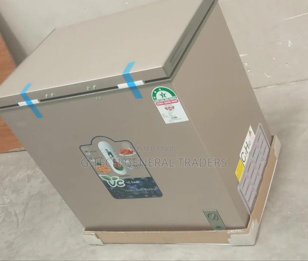 Ecomax Bd-219 Extra Large Capacity Chest Freezer Champagne - main view