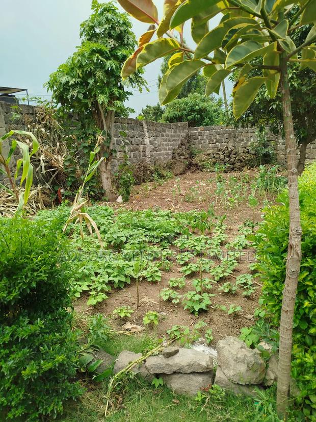 2bdrm House in Umoja 1 for sale - thumbnail 11