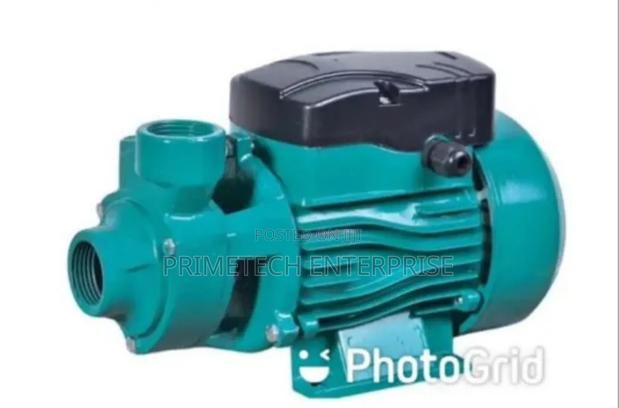 0.75hp 550w Dc Surface Pump - main view