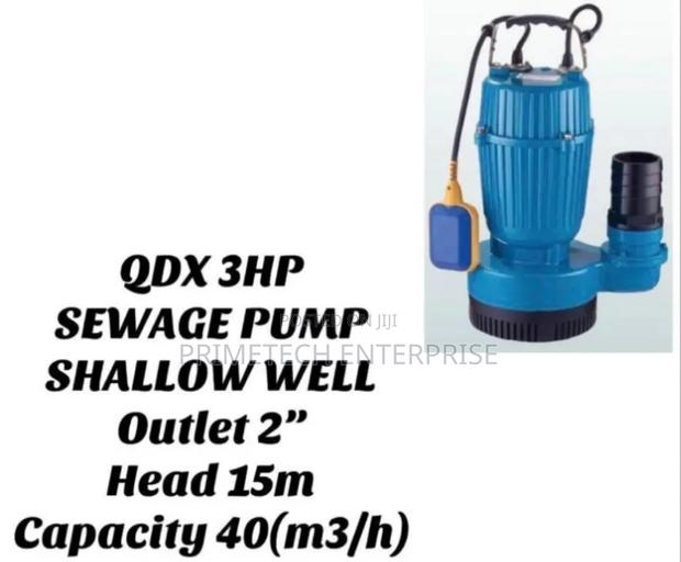 QDX 3hp Sewage Pump - main view