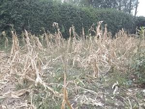 Land in Kiserian - thumbnail 2