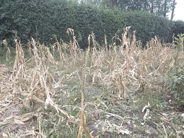 Land in Kiserian - main view