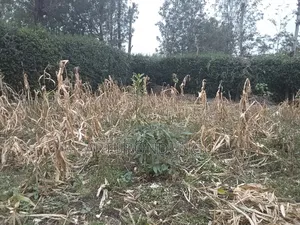 Land in Kiserian