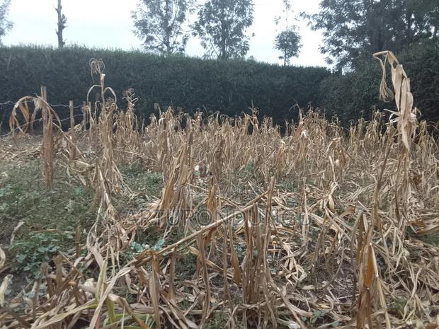 Land in Kiserian - thumbnail 4