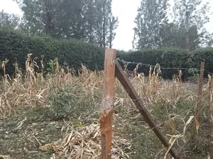 Land in Kiserian