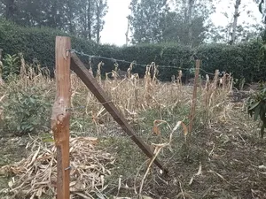 Land in Kiserian