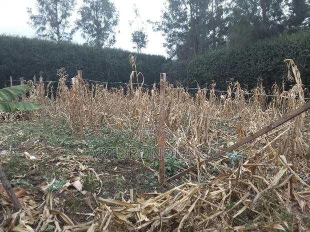 Land in Kiserian - thumbnail 7