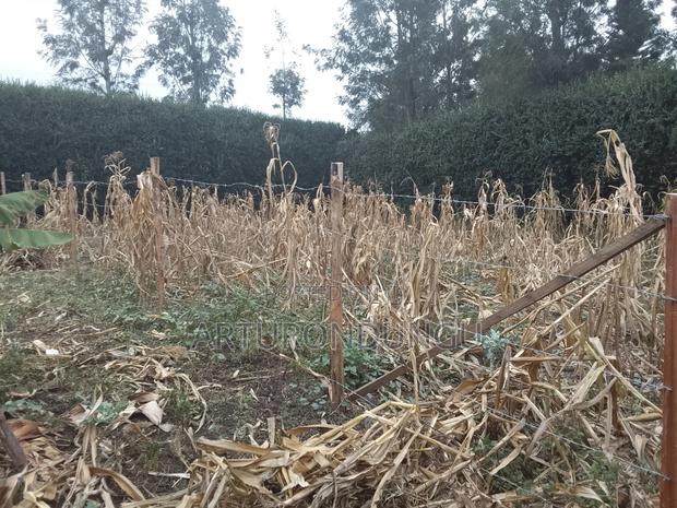 Land in Kiserian - thumbnail 8